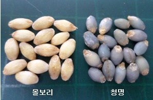 청명개발 이미지